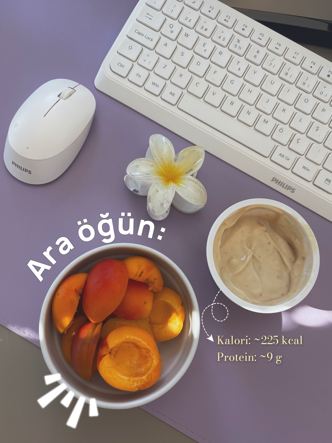 Meyve ve yanındaki kaseyle ikinci ara öğün; görselde yaklaşık 225 kcal ve 9 g protein notu.