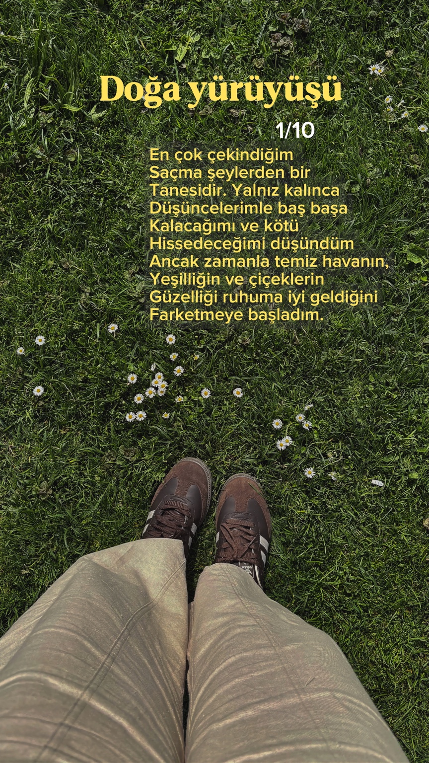 Doğa yürüyüşü · 1/10. Başta düşüncelerimle yalnız kalmaktan çekinirken yeşilliğin ve çiçeklerin keyfini fark ettim.